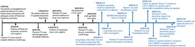 Metagenomic Diagnosis for a Culture-Negative Sample From a Patient With Severe Pneumonia by Nanopore and Next-Generation Sequencing